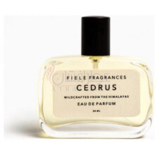 فیله فرگرنسز سدروس